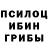 Галлюциногенные грибы мицелий don sumner