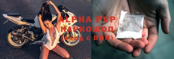 индика Баксан