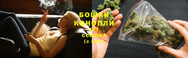 шишки Балахна