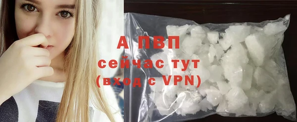 индика Баксан