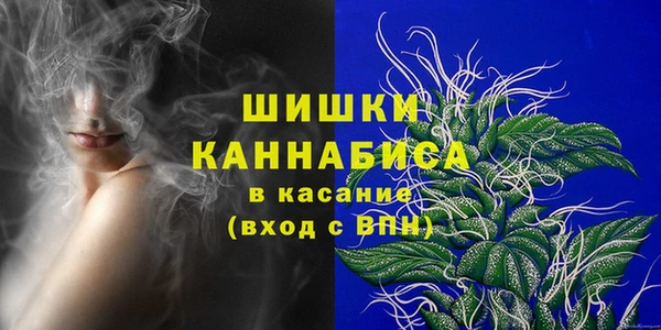 шишки Балахна
