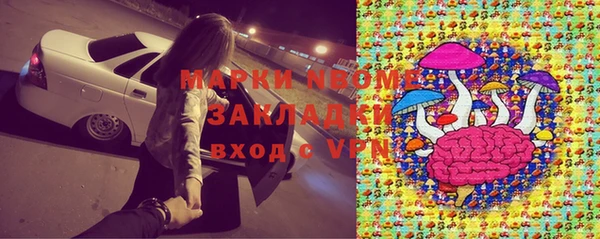 индика Баксан