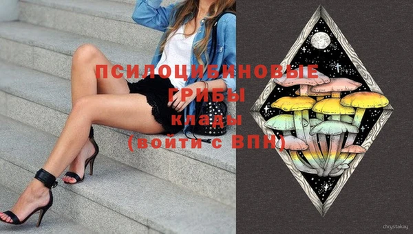 индика Баксан