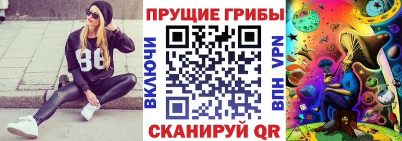 гидра ONION  Демидов  Галлюциногенные грибы Cubensis  как найти наркотики 
